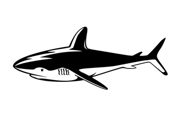 Shark pop art vector isolated on white background. Vector illustration of aquatic animals.