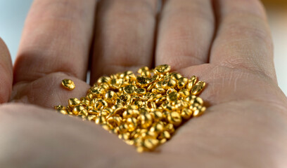 A bunch of gold pellets on a man's palm. Selective focus. - obrazy, fototapety, plakaty