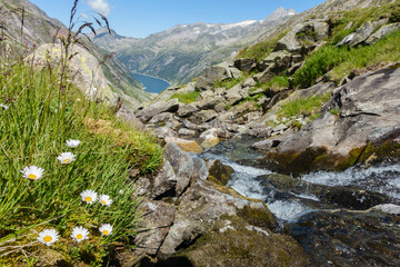 frisches Quellwasser aus den Bergen