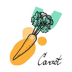 Carrot with abstract spots, hand-drawn elements of a sketch-style doodle. Vegetable. Hand-drawn lettering. Bright orange and green spots. Useful Nutrition. Simple vector isolated on white background.