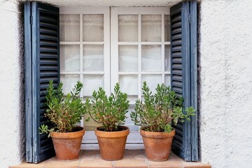 Fototapeta na wymiar Pots with plants in a white and blue window in a mediterranean village in summertime