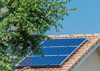 太陽光パネルが設置された住宅の屋根と快晴の青空と新緑の葉っぱ。