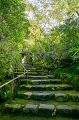 京都 瑠璃光院のもみじの緑が美しい庭園