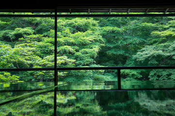 A table that reflects the green of maple leaves at Rurikoin in Kyoto, Japan