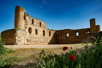 castillo de peñaflor