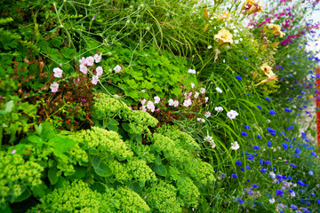 Green facade with flowering plants in summer. Living wall for urban greening and climate adaptation.