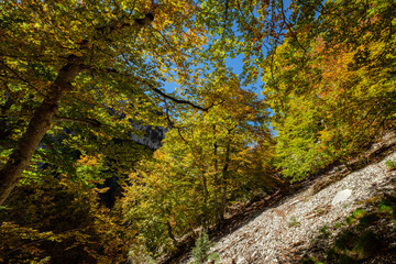 barranco de la Pardina, parque nacional de Ordesa y Monte Perdido,  comarca del Sobrarbe, Huesca, Aragón, cordillera de los Pirineos, Spain