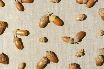 Autumn composition with natural dry acorns oak tree on linen fabric table, neutral beige background. Geometric pattern from natural materials. Autumn, fall concept. Minimal trend flat lay