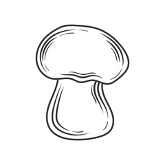 Linear champignon hand drawn, vector illustration.