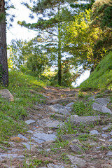 Mountain path formed from stones