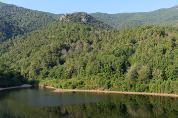Corsica forest along the Sampolu dam 