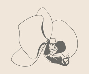 Flower illustration vector art design. Floral hand drawing nature decor. Vinatage garden sketch.