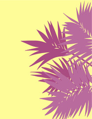 vector illustration of pink palm leaves. Plant, leaves, nature