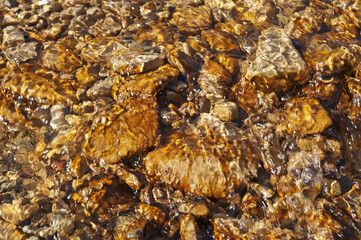 Yellow stones lying at the bottom of a mountain river under clear water on a sunny day