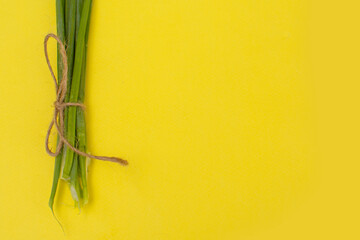 Fresh green onions on bright yellow background. Healthy eating concept