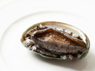 fresh abalone on a plate