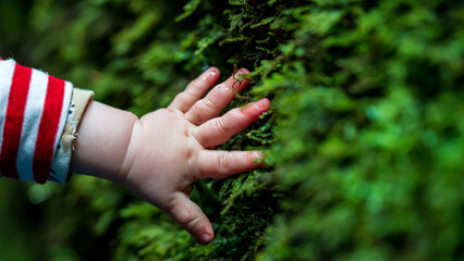 The hand of a baby touches a mossy wall