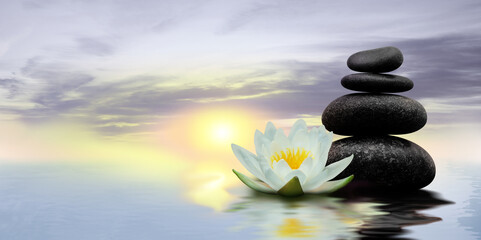 Zen, meditation, harmony. Beautiful lotus flower and stack of stones on water surface, space for text