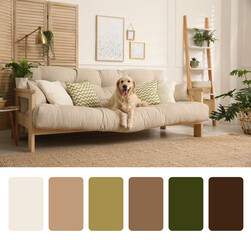 Color palette and photo of adorable dog on sofa in living room. Collage