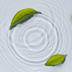 Water texture, clear water surface with rings and ripples and green leaves