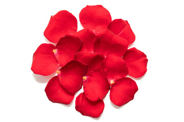 Red rose petals. Romantic rose decoration. On a white background.