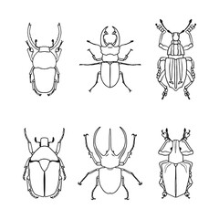 A set of isolated contour drawings of beetles on a white background. Doodle style. A design element.
