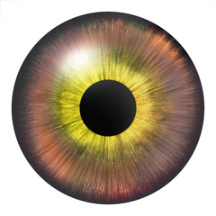 Iris of the eye. Human iris. Eye illustration. Multicolored eye. Creative digital design.