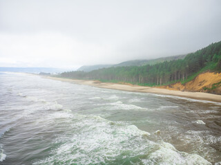 Seascape. Ocean, mountains and coniferous forest, light blue sky. The beauty and grandeur of pristine nature, ecologically clean place, environmental protection.