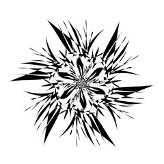 black and white flower