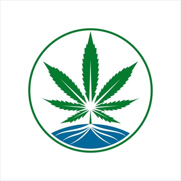 Cannabis logo hemp design vector template