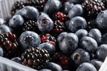 Ripe and juicy blueberries and blackberries in a container for freezing. Horizontal orientation, close-up, no people