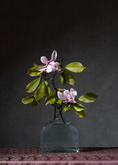 A branch of a blossoming magnolia flower in a transparent bottle on the table. Dark gray background. Joyful mood. Spring fragrance. Freshness at home. Light still life.