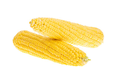 young corn isolated