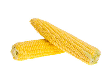 young corn isolated