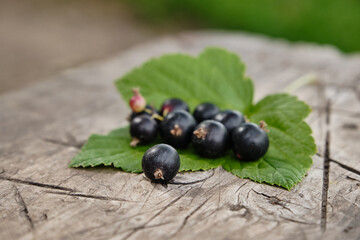 Blackcurrants with green leaves on the wooden table