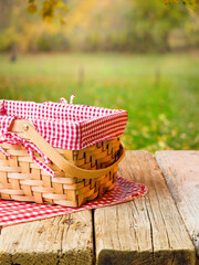 Summer vacation on the nature, picnic. Against the backdrop of picturesque summer nature, a picnic...