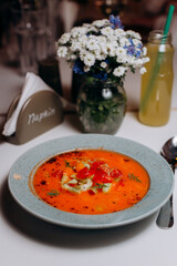 vegetable soup with meat and vegetables