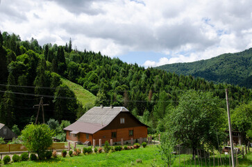 Fototapeta na wymiar Summer landscape in Carpathian Mountains, Ukraine