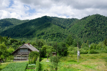 Summer landscape in Carpathian Mountains, Ukraine