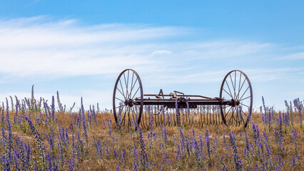 old agricultural implement