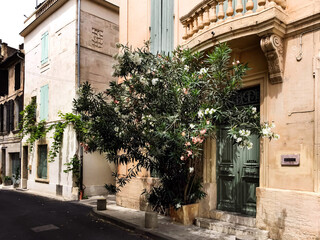 street view of Arles, France. Street view of old town. Pale beige yellow shabby wall, light green wooden door and blossoming tree. White and pink flowers. Balcony with balusters above door