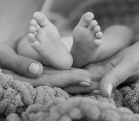 newborn feet
