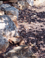 Rock Resting Place in the Woods
