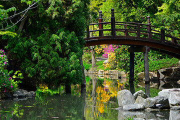 drewniany most nad wodą w ogrodzie japońskim,  designer garden