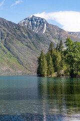 A vertical image of the forest and a mountain peak along the shore of Lake McDonald in Glacier National Park, Montana.