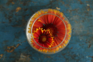 Obraz na płótnie Canvas Glass round container with water and flowers. Top view