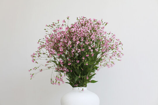 Pink flower bouquet in white vase on gray interior. Minimalist still life. Light and shadow nature horizontal background.