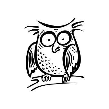 Crazy decorative owl with big eyes in black and white doodle style