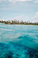 Adrift off a tropical island - Balanced Underwater Waterline, Maldives  - Portrait 