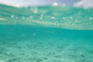 Obraz premium Abstract split level underwater shot of turquoise clear water, white sand coral reef and blue sky 